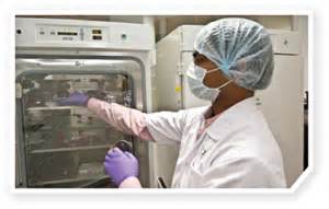 新药研发简介：新瓶装旧酒，浅谈肿瘤动物模型的变迁