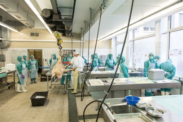 7月18日，不朽情缘mg官网将参加2011年ISSX/CSSX联合学术会议