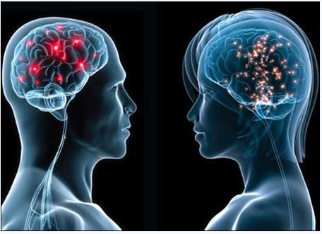 5月2号，医药经济报上发表了关于陈春麟博士的报道——CRO的中国式崛起路径