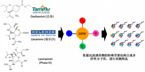 图2：以现有抗流感药物的结构为基础，进行多样性药物分子库的合成。