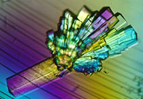 PD-1抑制剂成“抗癌神器”，国内外企业进展如何？