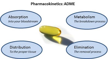 毒代动力学的吸收、分布、代谢、排泄