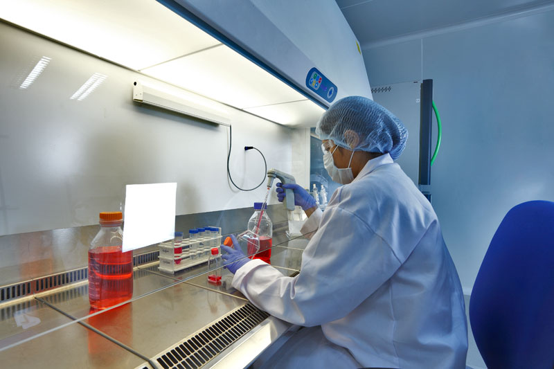 2015年药品特殊审评数据分析：哪些新药搭上了快车？