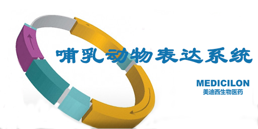 哺乳动物细胞表达系统特点、优势及研究现状