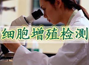 细胞增殖检测四种常用方法：EdU、CCK-8、MTT与BrdU