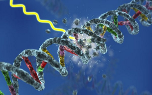 Nature：癌症治疗发现新靶点