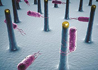 未来的药丸里，可能有一万亿个人工改造的细菌？