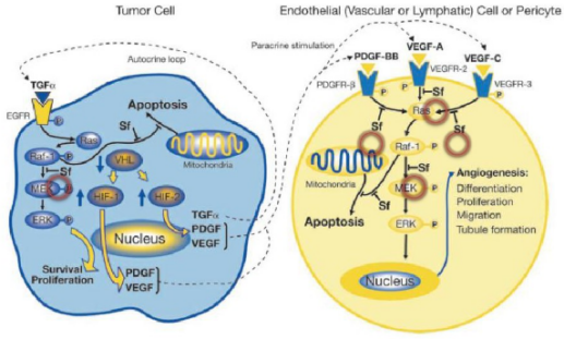 多靶点药物：创新药物设计的重要思路