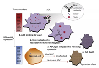 浅析：ADC药物的抗癌之路