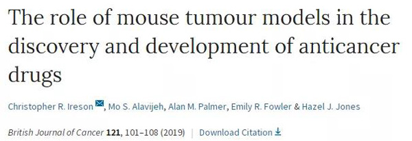临床前小鼠模型如何。