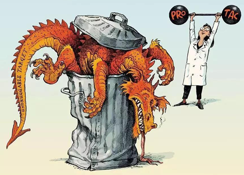 聚焦PROTAC：Make“Undruggable”TargetsDrugable