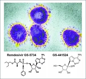 基于细胞因子风暴和免疫炎症反应综合征，很多免疫相关靶点也可以列为冠状病毒的靶点。
