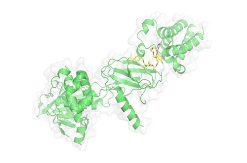 PROTAC技术，马兴泉
