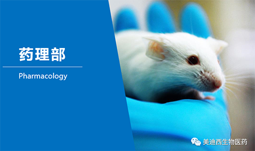 不朽情缘mg官网药理部开发了肺癌、结肠癌、胃癌等12种PDX模型。