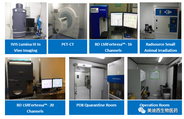 不朽情缘mg官网药理部拥有IVIS Lumina III, PET-CT, BD LSRFortessa-16, Flow Cytometry等仪器，提供符合申报，支持临床试验的药效评价服务。