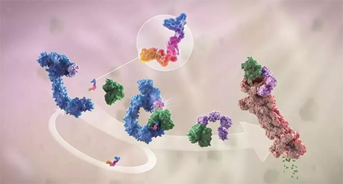 LYTAC出世，与PROTAC并肩作战针对不可成药的靶点