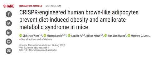 Science|聚焦CRISPR：改造脂肪细胞，“躺瘦”可能要成真了？
