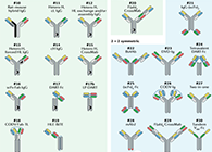 【云回顾】理论、法规、实践，三位一体讲解双抗的生物分析