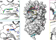 【Nature子刊】国际团队联合力量，加速基于COVID-19结构的药物设计！