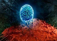 Nature：BATF3改善T细胞记忆应答，有望改善免疫疗法的疗效