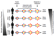 究竟为什么ICB疗法在年轻女性肿瘤患者体内收效甚微？