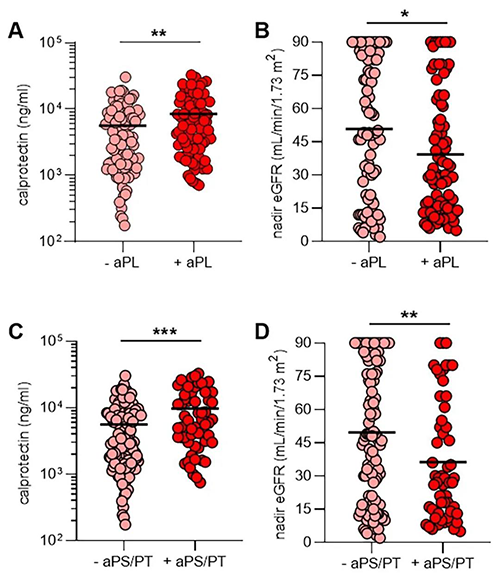 aPL抗体、NET释放和肾功能