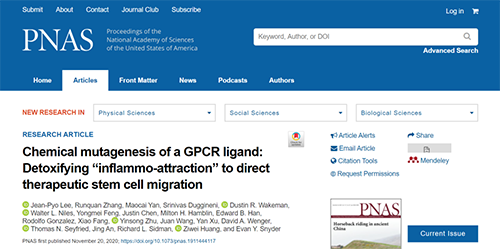 世界首创：药物将干细胞引导至受损部位，提高其愈合能力！
