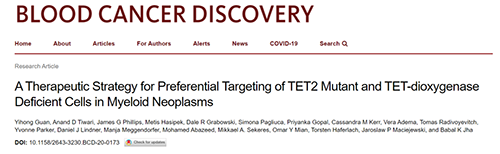 研究者描述了一种新型靶向抗癌药物，这种药物可能会有效地治疗某些常见的白血病。