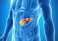 Science：“癌王”胰腺癌终于出现了治疗新曙光