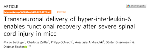 Nature：还瘫痪患者一个自由身的日子不远了