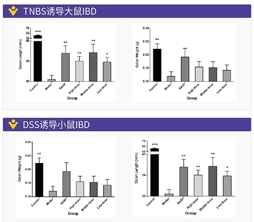 TNBS诱导的大鼠IBD、DSS诱导的大鼠IBD