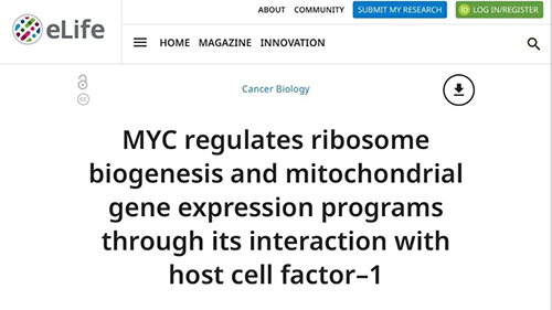 可以“融化”肿瘤的蛋白质，你一定没有听说过！