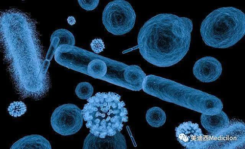 20分钟，大多数细菌都可以繁衍一代 不朽情缘mg官网生物医药