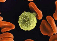 Science子刊：一种FDA批准的抗腹泻药物可有效对抗化疗的耐药性