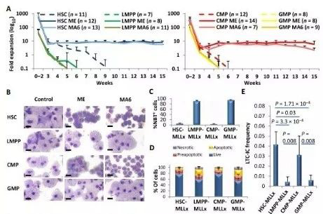 Science子刊：一种FDA批准的抗腹泻药物可有效对抗化疗的耐药性 不朽情缘mg官网生物医药