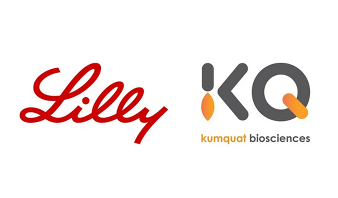 ：兀〔恍嗲樵祄g官网合作伙伴Kumquat Biosciences与礼来达成合作，共同开发肿瘤免疫小分子药