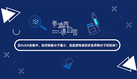 在ELISA实验，如何制备分子量小、免疫原性弱的多肽药物分子的抗体？