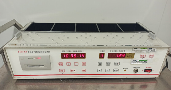 小鼠自主活动仪