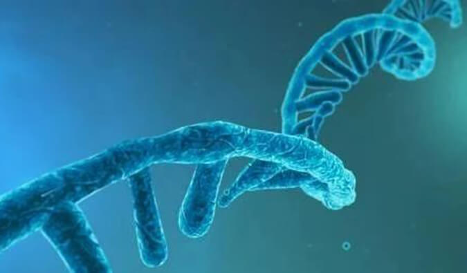 美研丨寡核苷酸药物市场前景、发展挑战及应对策略