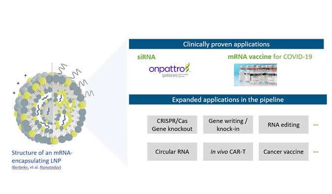 【专家报告】张翼博士：阳离子脂质高通量定制化筛选