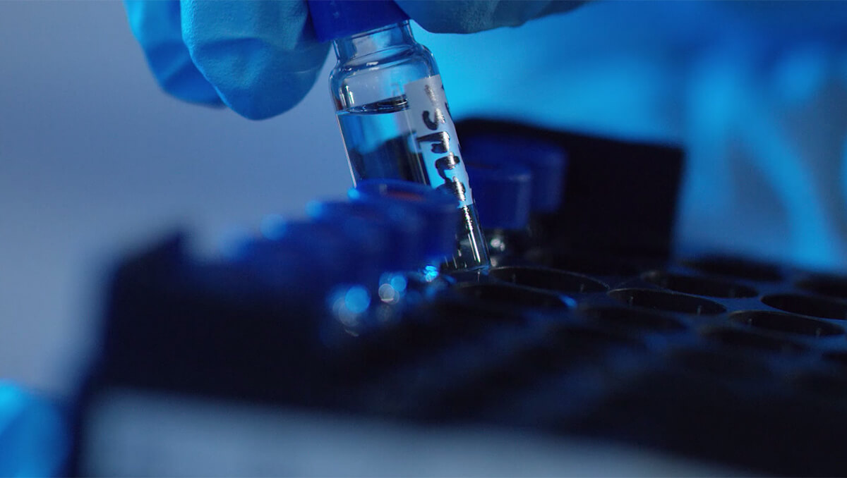 小分子药物发现：医学突破的力量