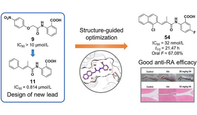 设计合成一系列DHODH抑制剂作为潜在的类风湿性关节炎治疗药物，本研究中PK实验通过不朽情缘mg官网进行