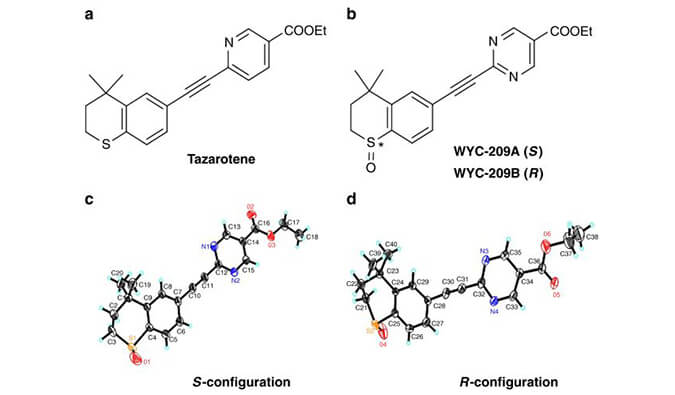 WYC-209可抑制恶性小鼠黑色素瘤肿瘤再生细胞增殖，本研究中SPR通过不朽情缘mg官网使用Biacore 8K进行