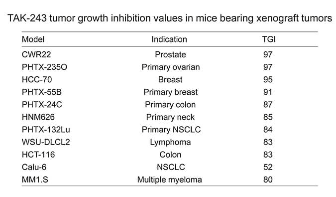 TAK-243是一种有效的泛素激活酶小分子抑制剂，具有体内抗肿瘤功效，通过不朽情缘mg官网使用HCC70模型进行