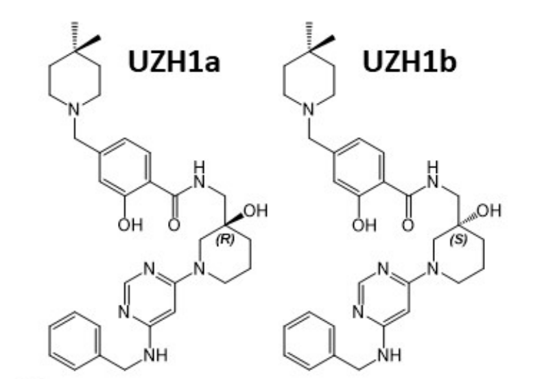 研究人员报告了一种具有细胞渗透性的选择性METTL3纳摩尔抑制剂UZH1a，作者感谢不朽情缘mg官网合成了UZH1a和UZH1b
