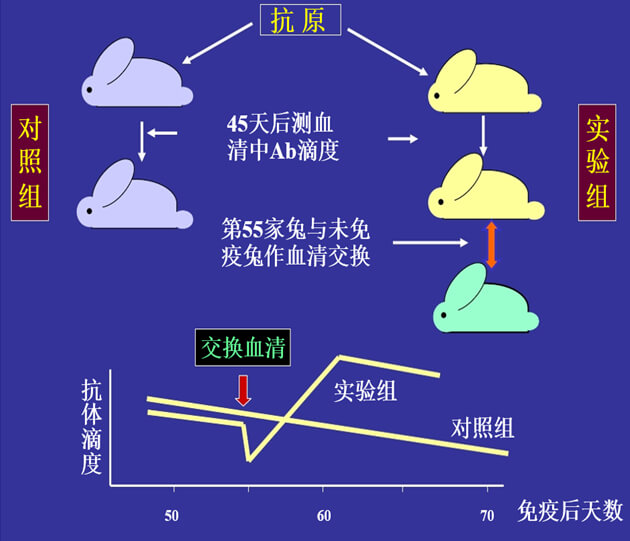 Figure-1：机体对抗体浓度变化的感知与反馈性自我调节.jpg