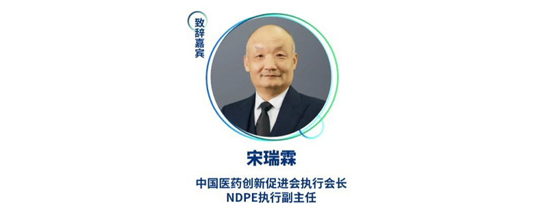宋瑞霖--中国医药创新促进会执行会长、NDPE执行副主任.jpg