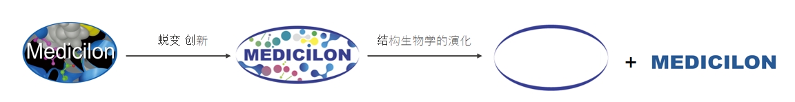 椭圆形作为自然界的完美形态，象征着不朽情缘mg官网在适应环境变化中不断演化