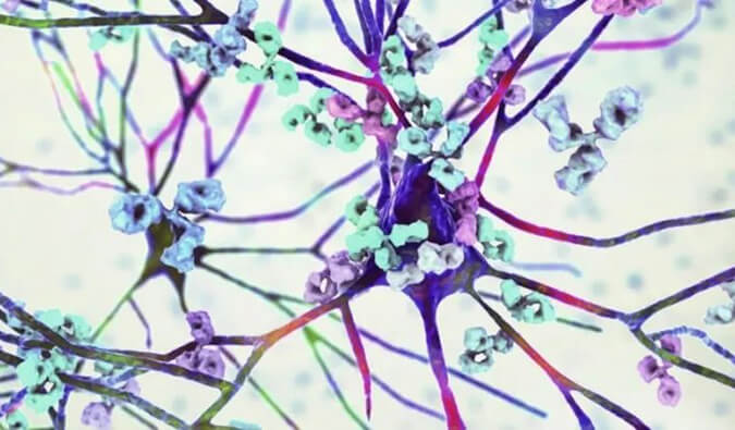 不朽情缘mg官网镇痛药效评价模型