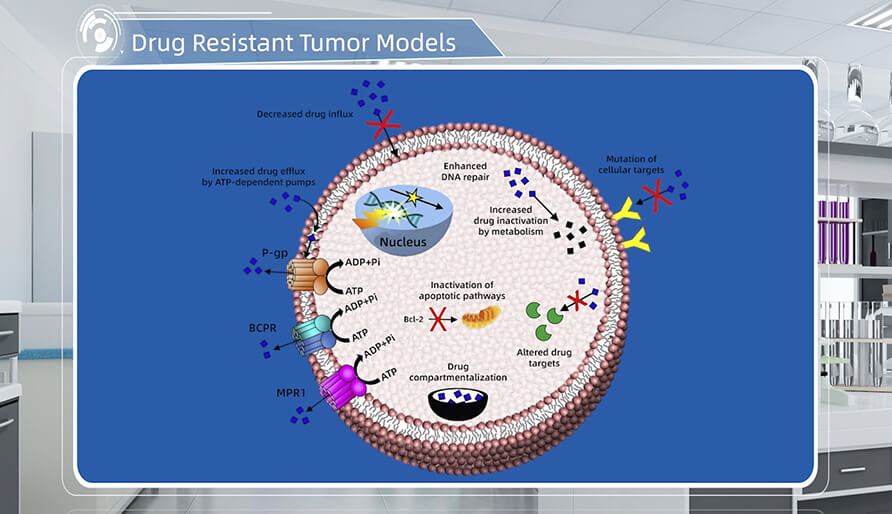 肿瘤耐药机制是什么？